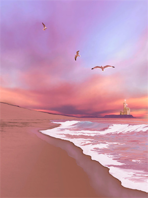 影帝的黑粉影後完整版